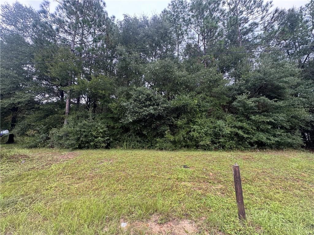 0 Wellborn Woods Drive, Eight Mile, AL 36613 — exterior