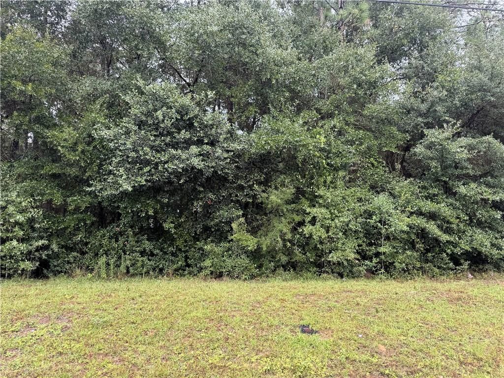 0 Wellborn Woods Drive, Eight Mile, AL 36613 — photo 3