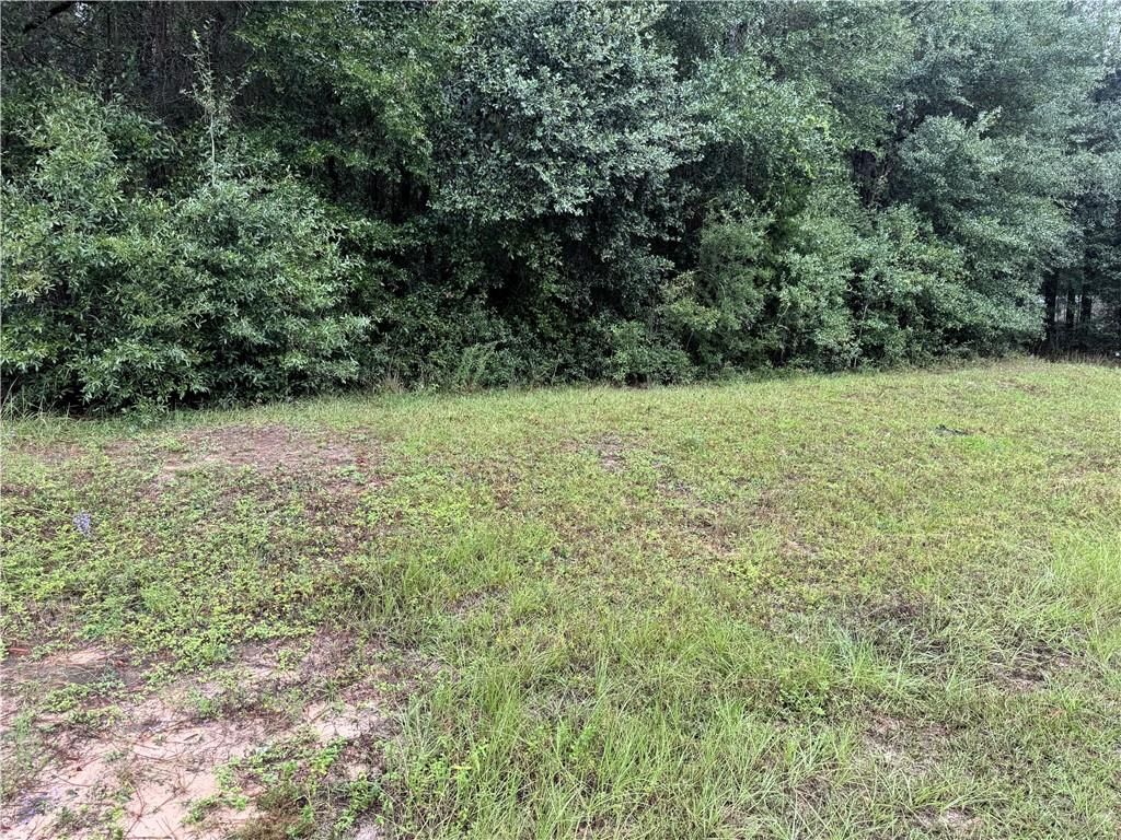 0 Wellborn Woods Drive, Eight Mile, AL 36613 — photo 4