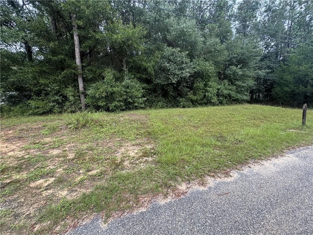 0 Wellborn Woods Drive, Eight Mile, AL 36613 — photo 5
