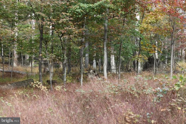 FEATHER BED, Hedgesville, WV 25427