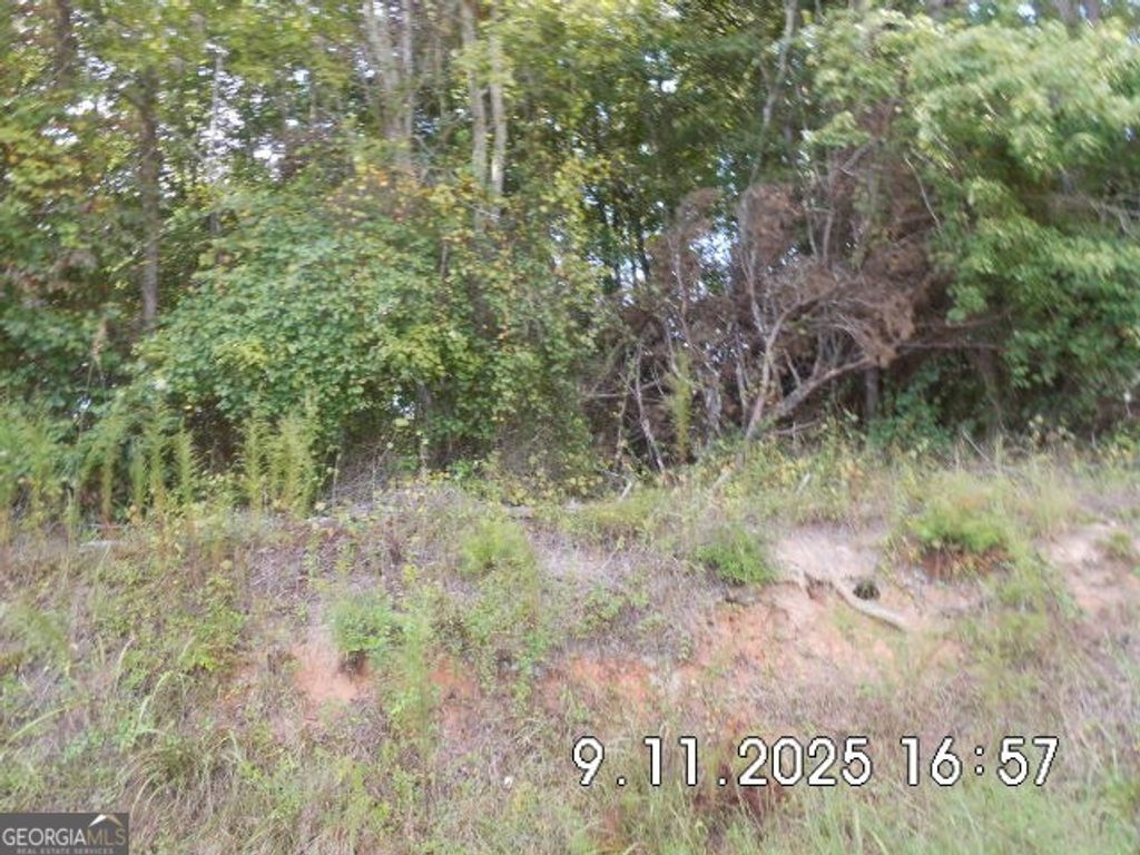 8.5 +/- Smith Loop, Demorest, GA 30535 — photo 4