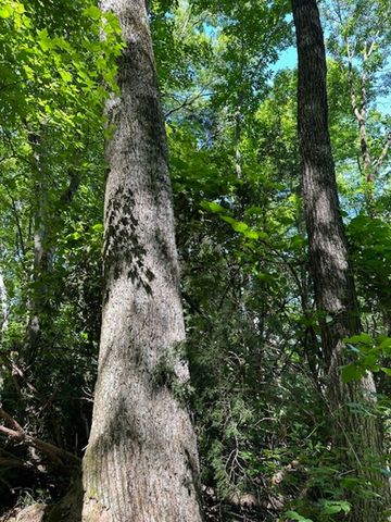 0 MOSS ARCOT ROAD, Celina, TN 38551