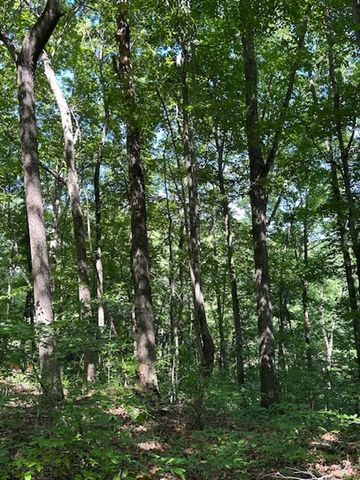 0 MOSS ARCOT ROAD, Celina, TN 38551