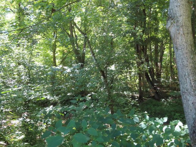 485 Springer Road, Chillicothe, OH 45601
