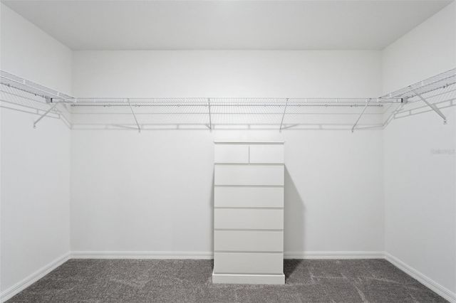 8808 BAY LEAF DRIVE, Parrish, FL 34219