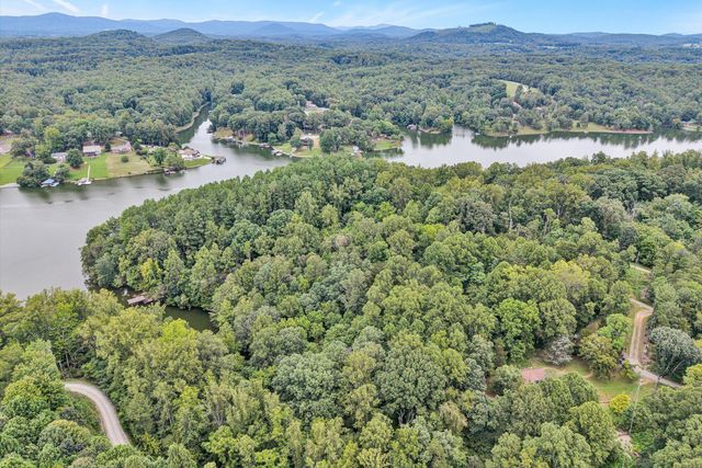 295 Wysong Mill CIR, Hardy, VA 24101