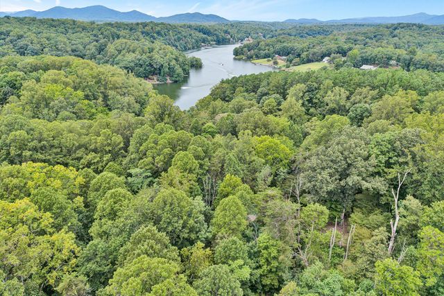 295 Wysong Mill CIR, Hardy, VA 24101
