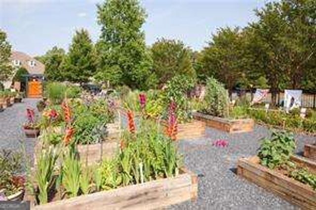 3354 Locust Cove Road SW, Gainesville, GA 30504