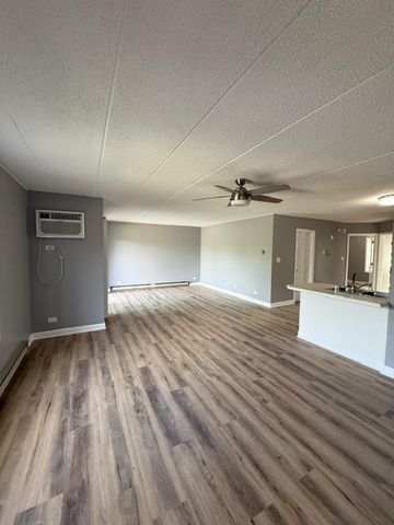 669 N Briar Hill Lane 3, Addison, IL 60101