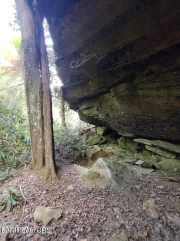 0 Ross Cemetery Rd, Winfield, TN 37892