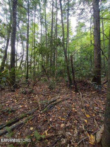 0 Ross Cemetery Rd, Winfield, TN 37892