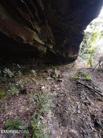 0 Ross Cemetery Rd, Winfield, TN 37892