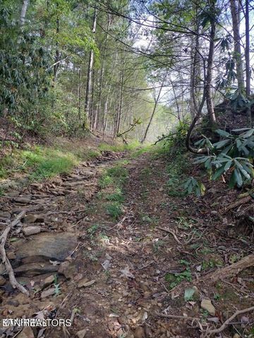 0 Ross Cemetery Rd, Winfield, TN 37892