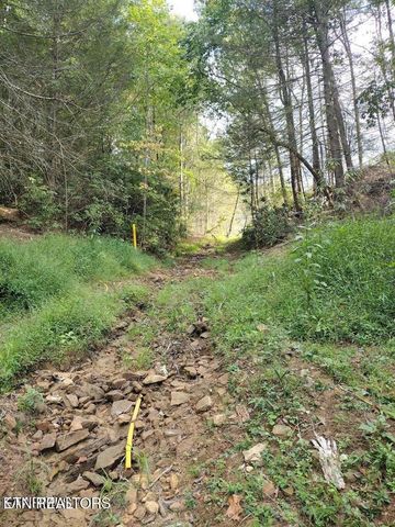 0 Ross Cemetery Rd, Winfield, TN 37892