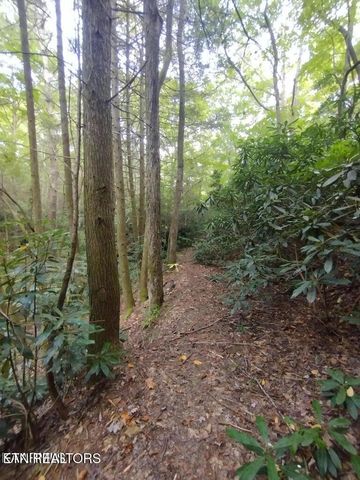 0 Ross Cemetery Rd, Winfield, TN 37892