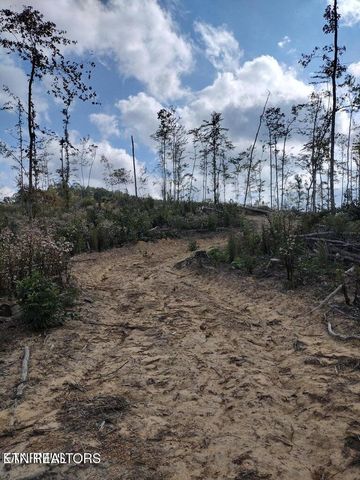 0 Ross Cemetery Rd, Winfield, TN 37892