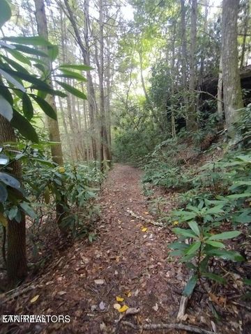 0 Ross Cemetery Rd, Winfield, TN 37892