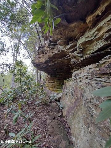 0 Ross Cemetery Rd, Winfield, TN 37892