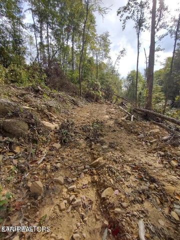 0 Ross Cemetery Rd, Winfield, TN 37892