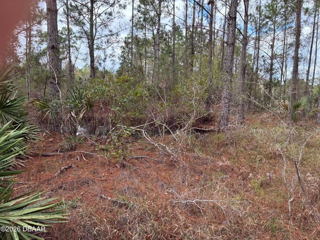 00 Boice Lane, Ormond Beach, FL 32174