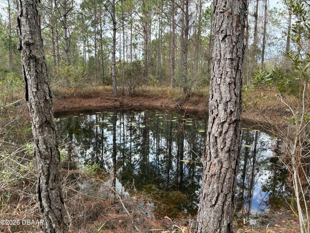 00 Boice Lane, Ormond Beach, FL 32174
