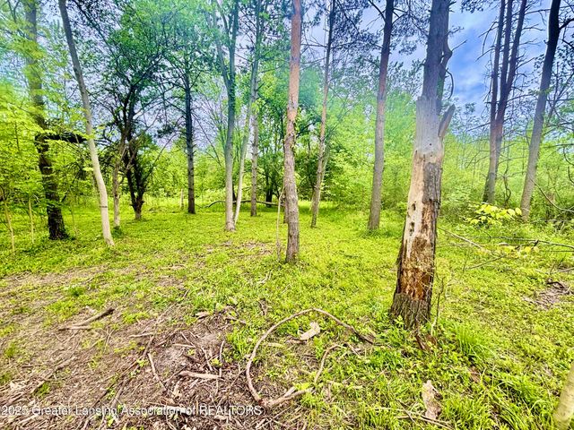 0 Lot C Willow, Lansing, MI 48917
