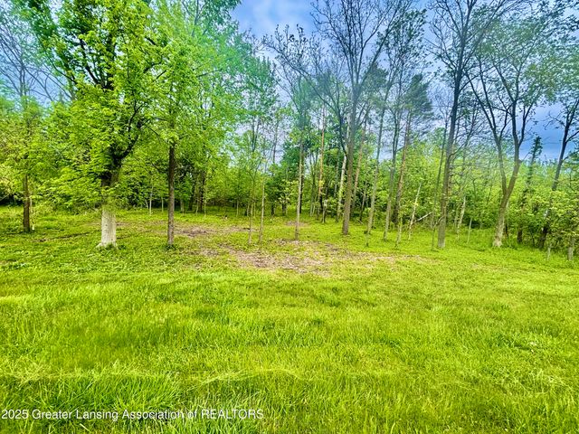 0 Lot C Willow, Lansing, MI 48917