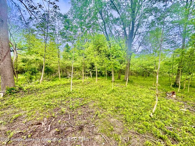 0 Lot C Willow, Lansing, MI 48917