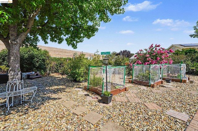 311 Upton Pyne Dr, Brentwood, CA 94513
