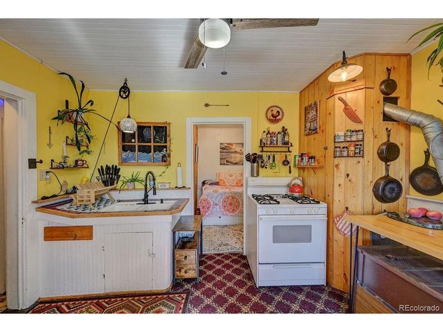 412 E 2nd St, Leadville, CO 80461