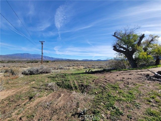 44451 Jay Dr, Anza, CA 92539