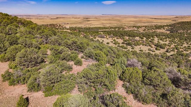 423 Trails End Court, Walsenburg, CO 81089