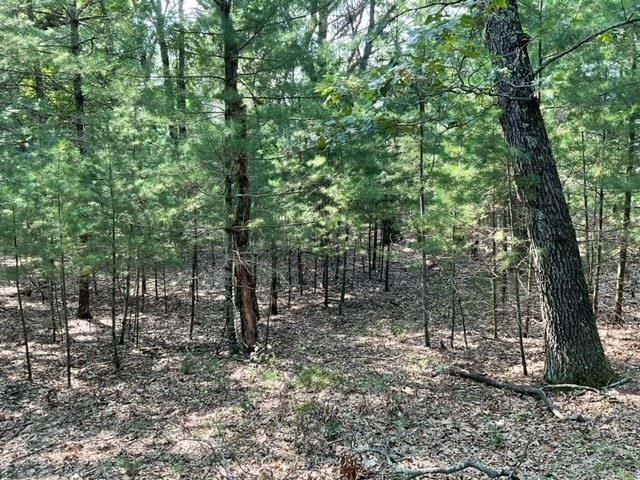 579 17th Avenue, Nekoosa, WI 54457