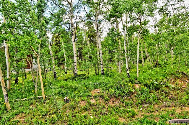 605 Lamb Mountain Road, Fairplay, CO 80440