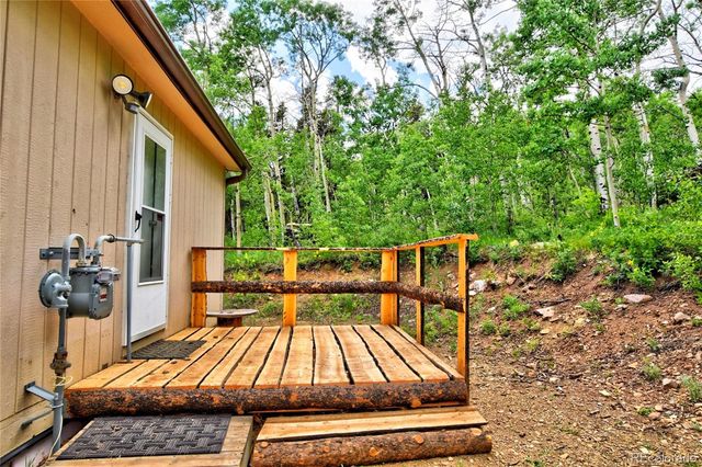 605 Lamb Mountain Road, Fairplay, CO 80440