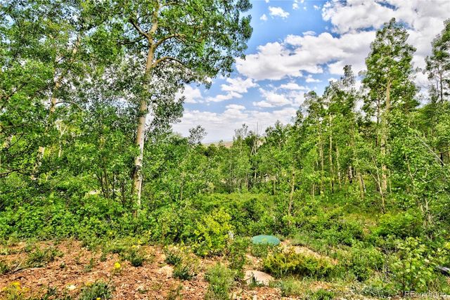 605 Lamb Mountain Road, Fairplay, CO 80440