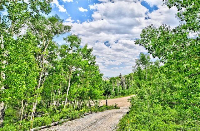 605 Lamb Mountain Road, Fairplay, CO 80440