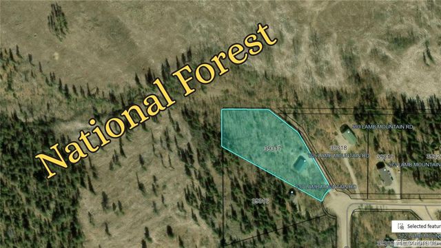 605 Lamb Mountain Road, Fairplay, CO 80440