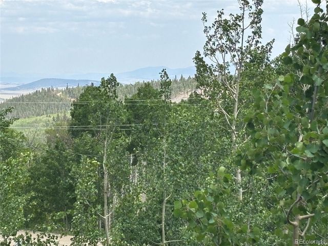 605 Lamb Mountain Road, Fairplay, CO 80440