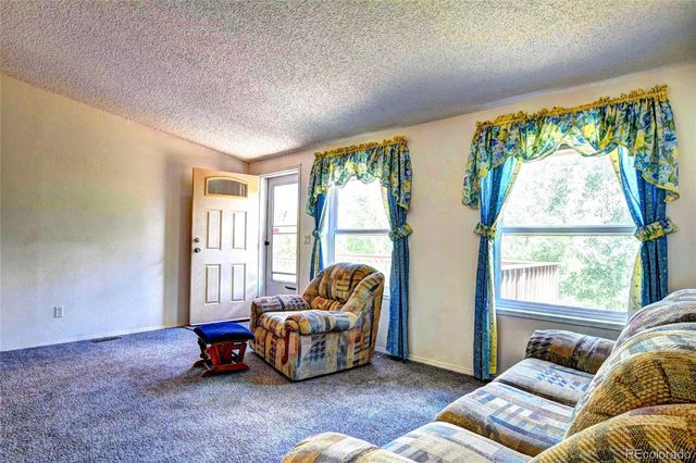 605 Lamb Mountain Road, Fairplay, CO 80440