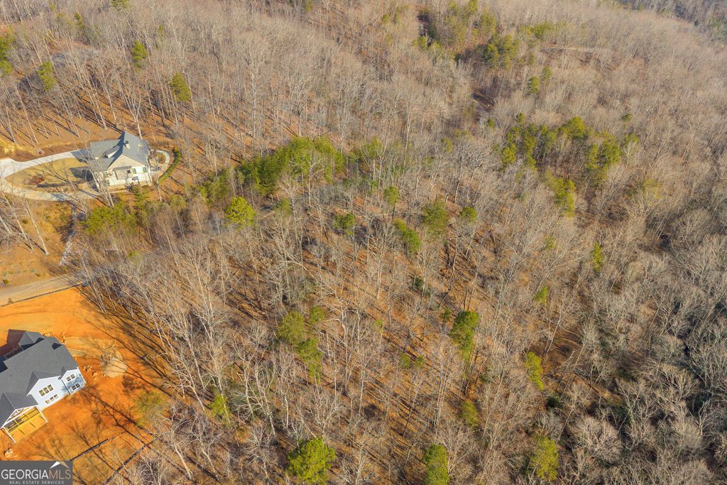 0 Planters Creek, Baldwin, GA 30511 — photo 3