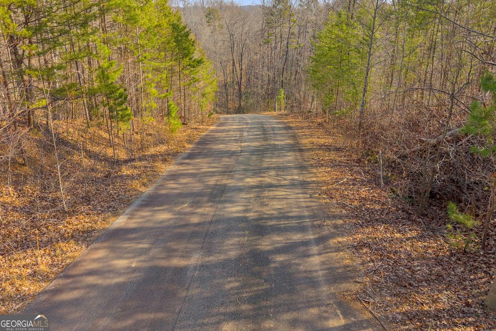 0 Planters Creek, Baldwin, GA 30511 — photo 5
