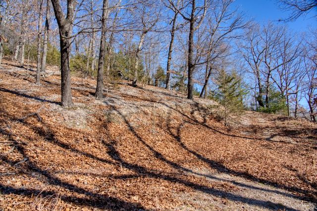 Mundell Road, Eureka Springs, AR 72631