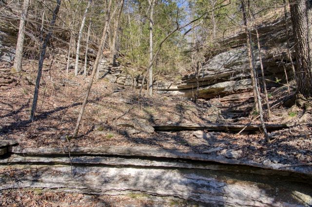 Mundell Road, Eureka Springs, AR 72631