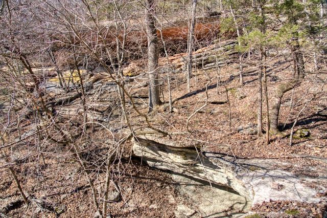 Mundell Road, Eureka Springs, AR 72631