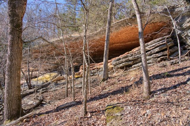 Mundell Road, Eureka Springs, AR 72631