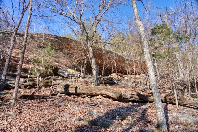 Mundell Road, Eureka Springs, AR 72631