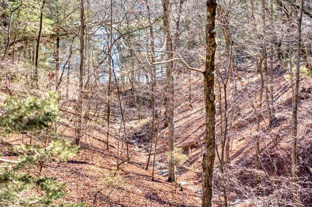 Mundell Road, Eureka Springs, AR 72631