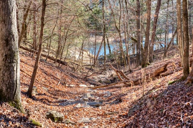 Mundell Road, Eureka Springs, AR 72631